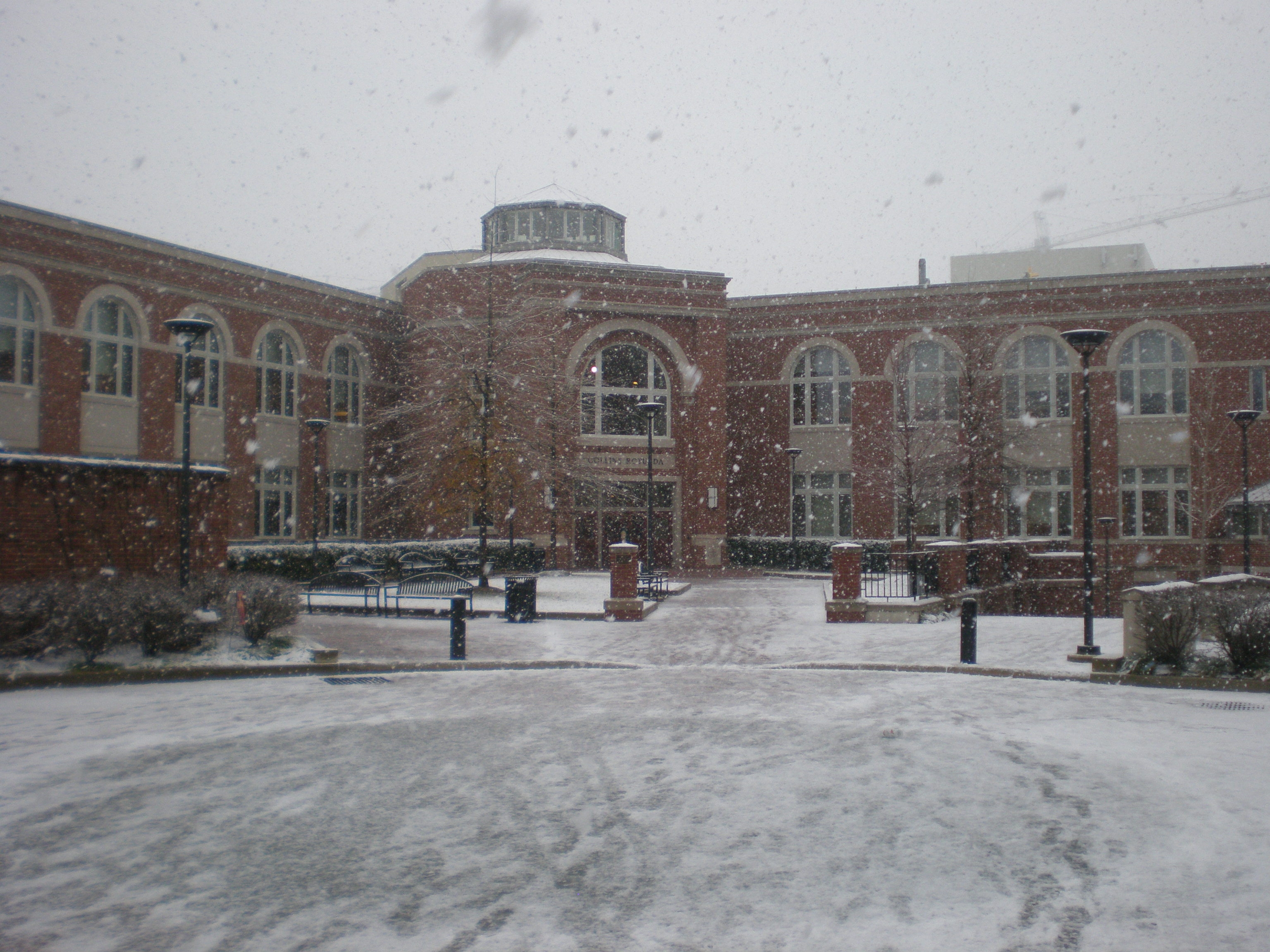 The Quad in Winter by SC